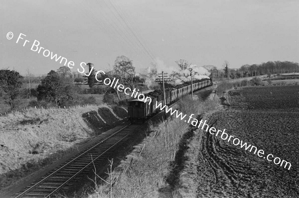 TURF TRAIN NEAR PORTARLINGTON